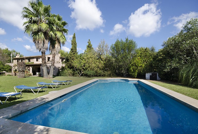 Garten Rasen Bäume Palme Pool Finca