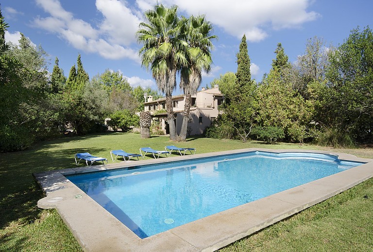 Rasen Pool Bäume Palme Büsche Schatten Himmel