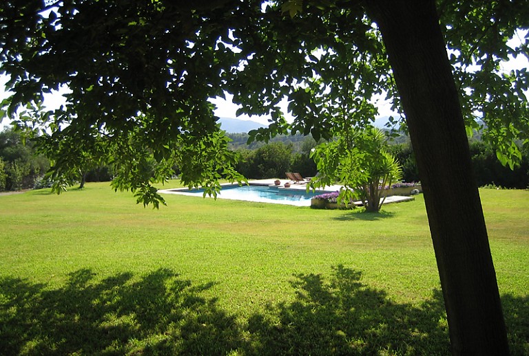 Garten Bäume Pool