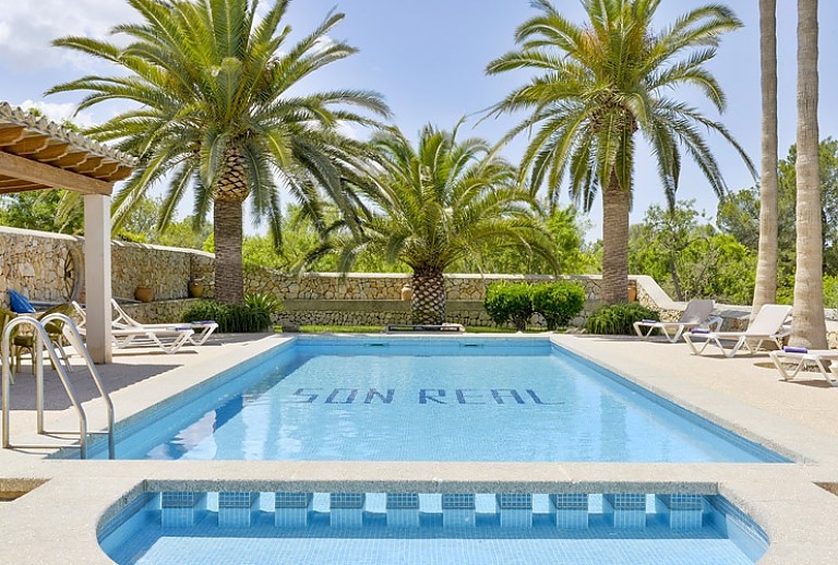 Pool Palmen Büsche Mauer