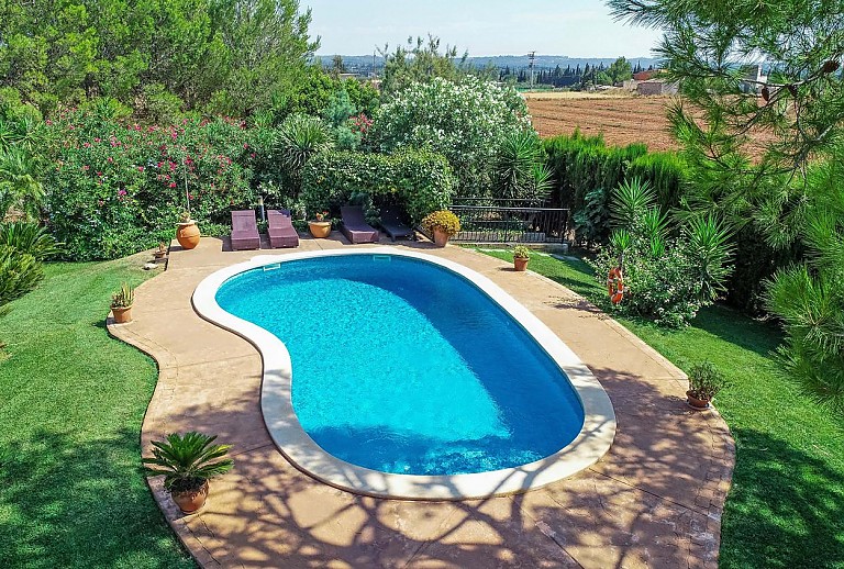 Finca Pool Baume Rasen