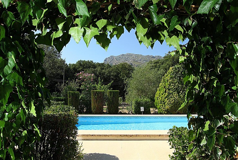 Pflanzen und Bäumen im Garten der Finca mit Sonnenliegen 