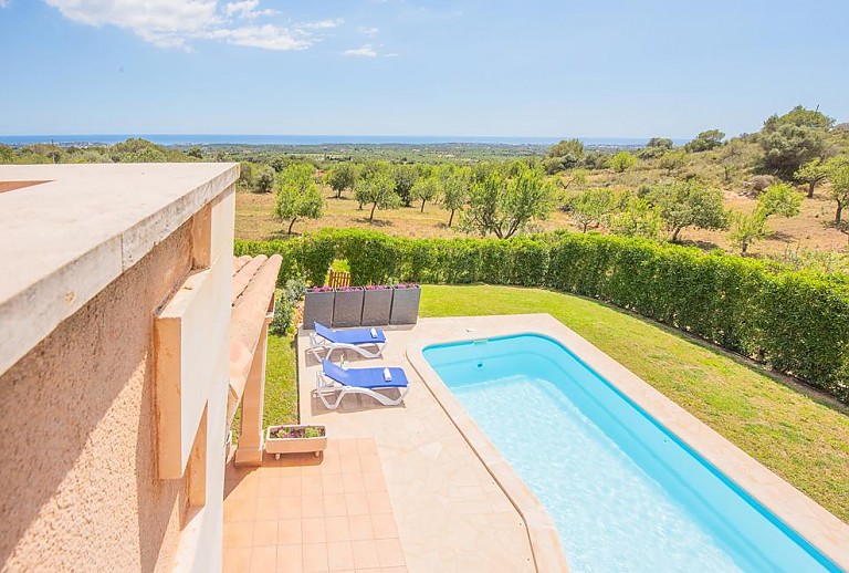 Blick von der Terrasse auf den Pool 