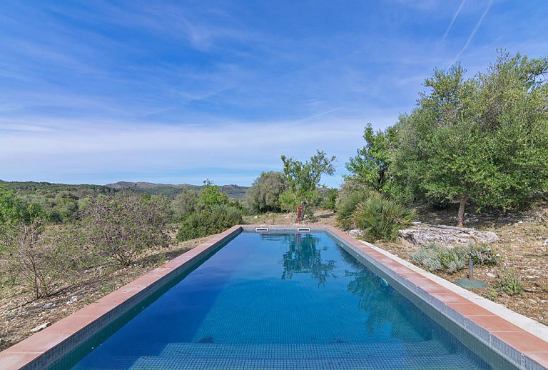 Pool und Bäume vor der Finca