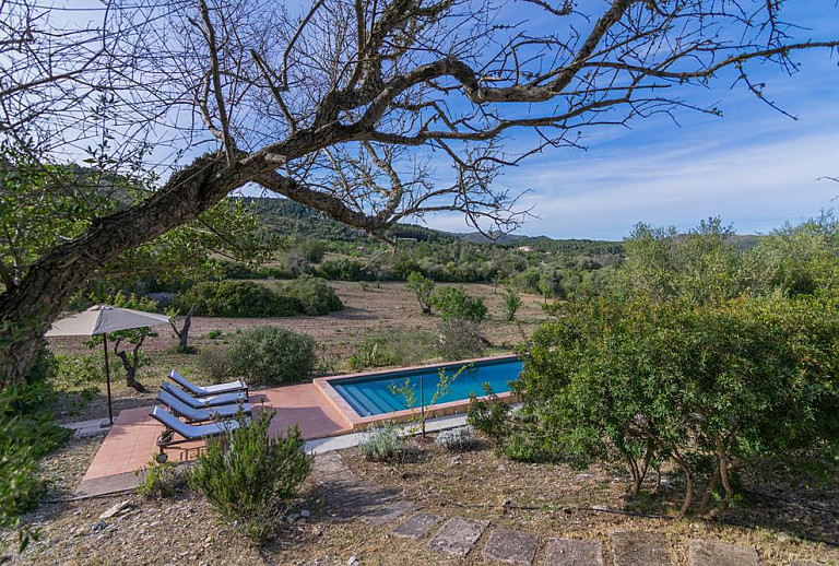 Garten mit Bäumen und Poolbereich