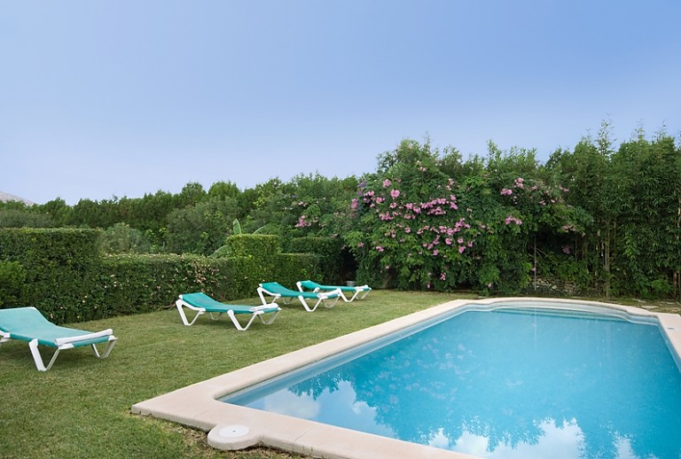 Poolliegen Rasen Pool Pflanzen Hecke